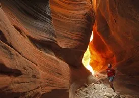 Zion National Park